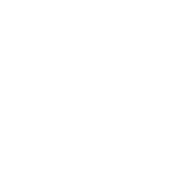 jezweb logo icon in white