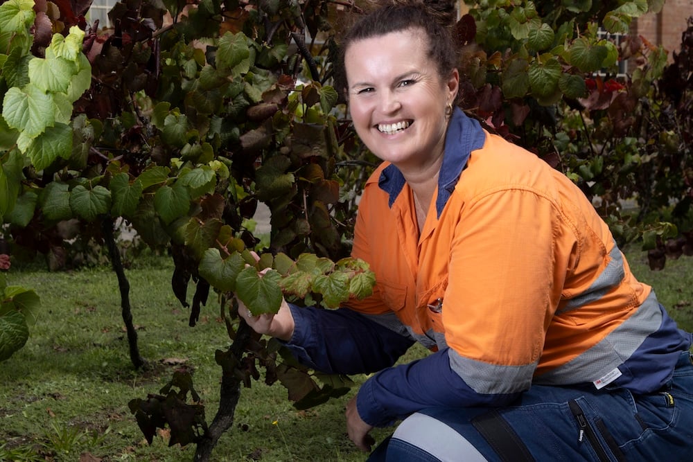 BSQC inspector in hi-vis shirt examining plant foliage during a weed biosecurity inspection